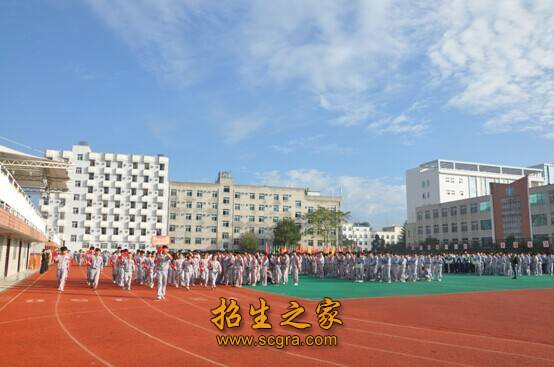 學(xué)?；顒?dòng)
