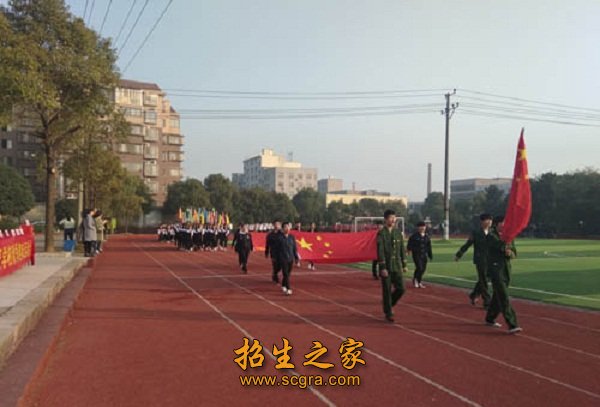 學(xué)?；顒?dòng)