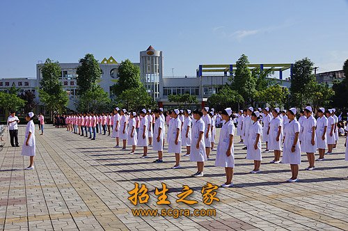 集體活動