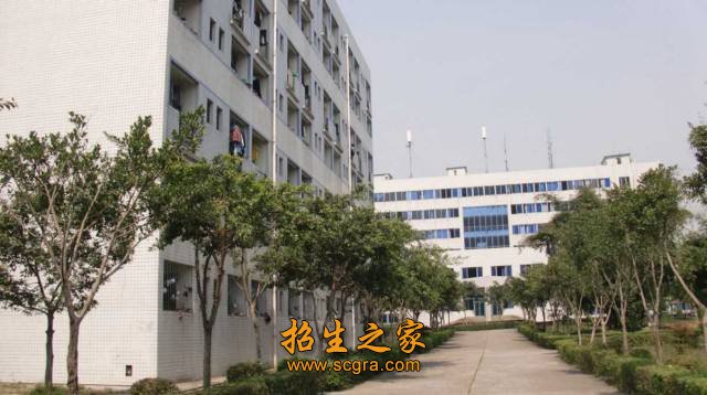 四川紅十字衛(wèi)生學校