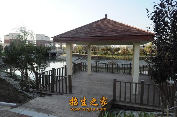 南京曉莊學院