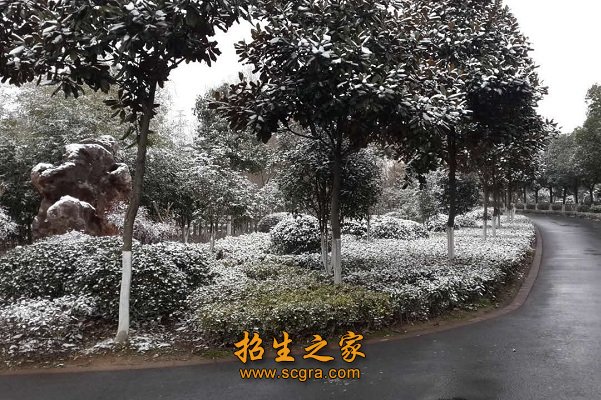 南京華東信息工程技工學(xué)校