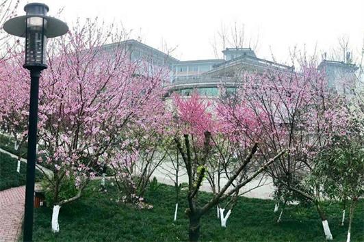 四川愛華職業(yè)學(xué)院辦學(xué)性質(zhì)、招生要求
