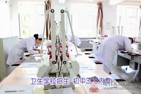 成都市衛(wèi)校招生要求？
